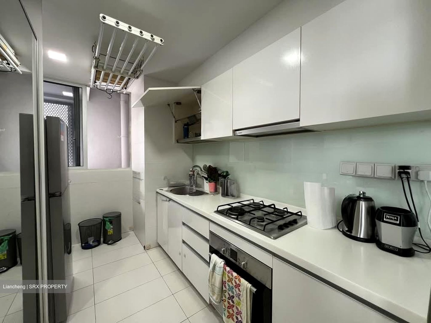 The Regency At Tiong Bahru (D3), Condominium #574789151